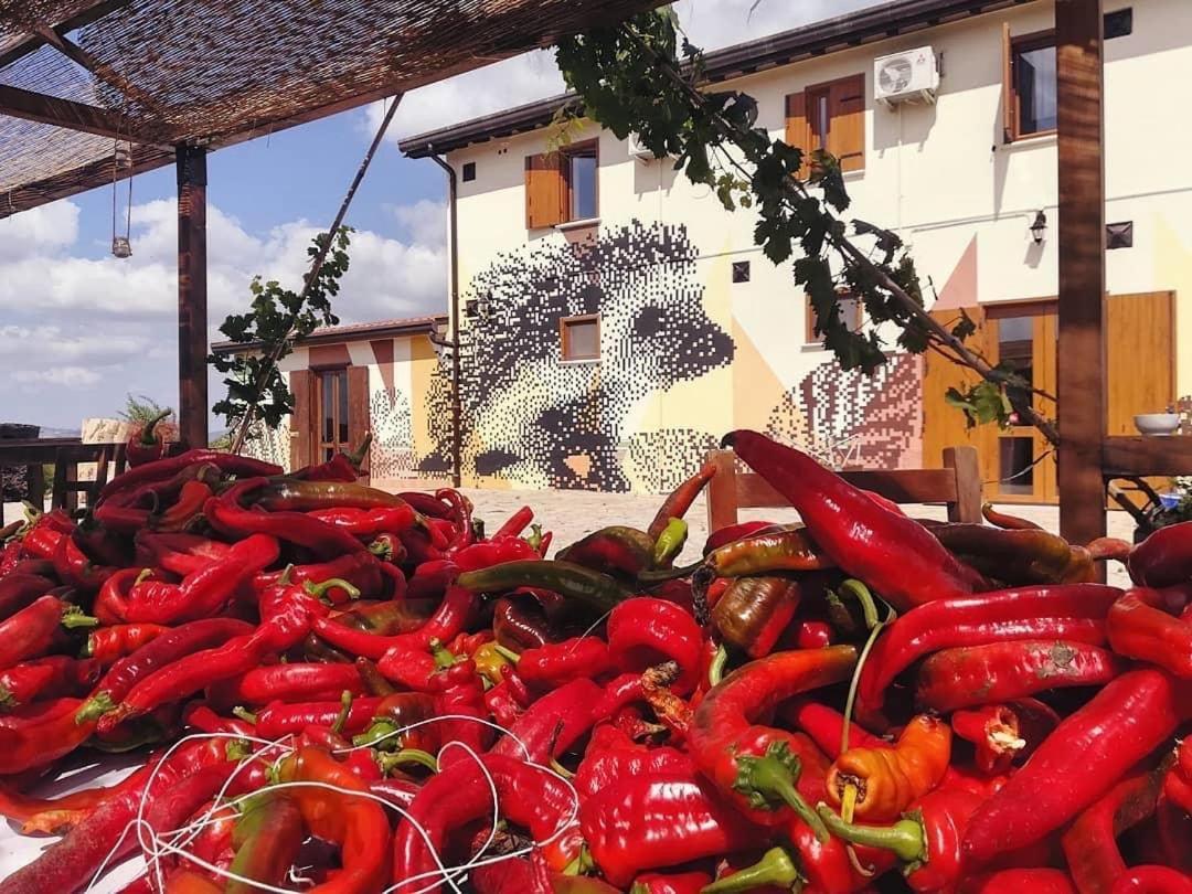 Agriturismo Il Riccio Monticchio  Buitenkant foto