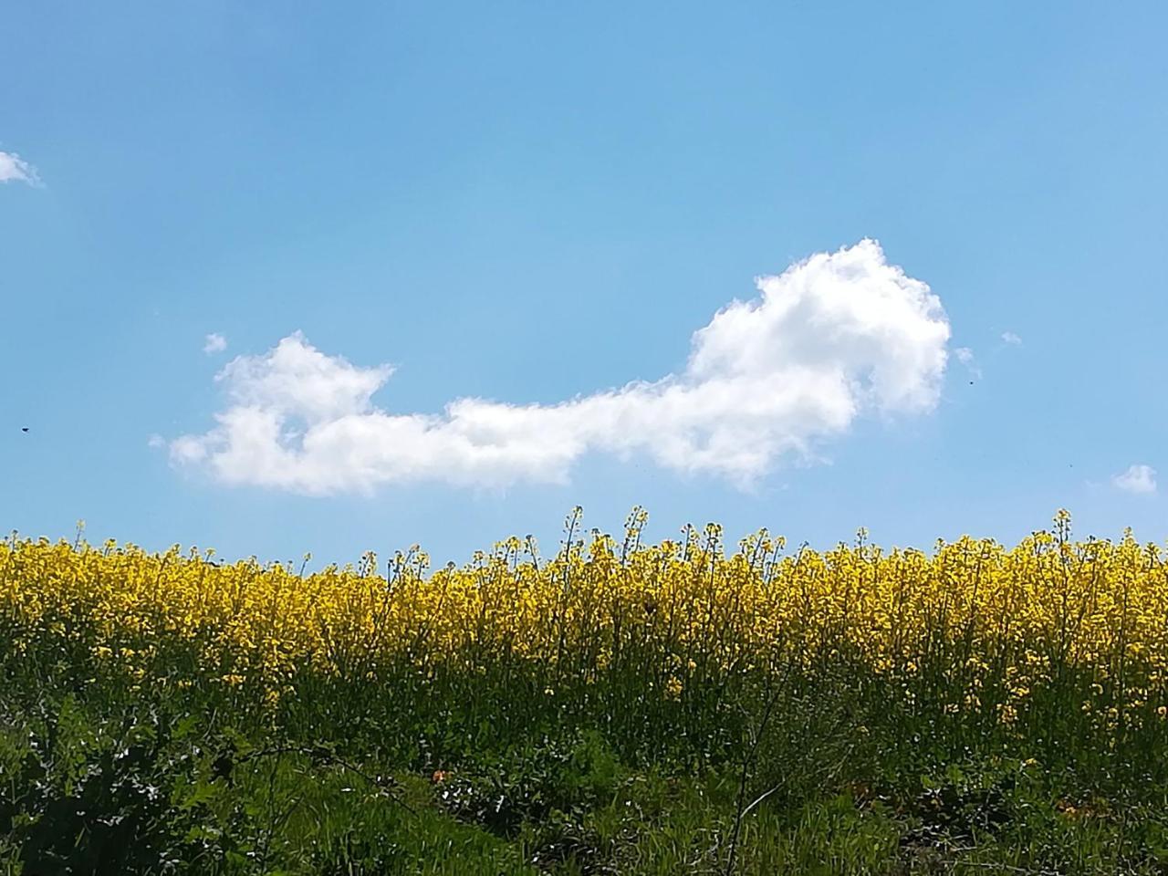 Agriturismo Il Riccio Monticchio  Buitenkant foto