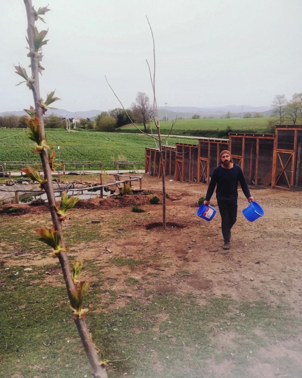 Agriturismo Il Riccio Monticchio  Buitenkant foto